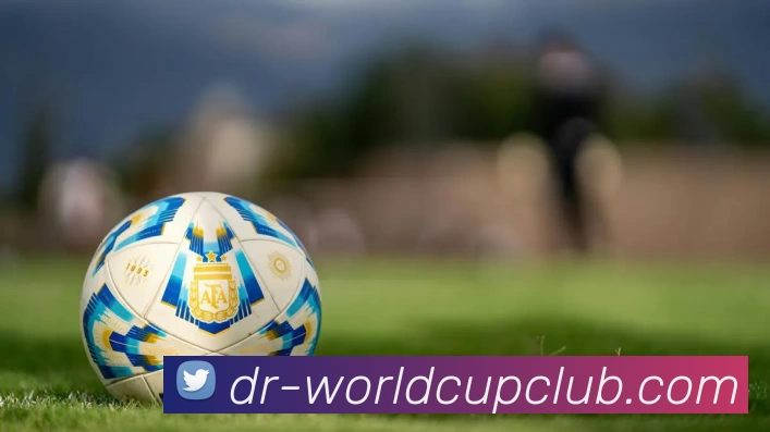 世界杯投注APP 封面图